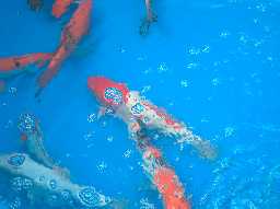 Some Fish