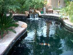 Tom's waterfall