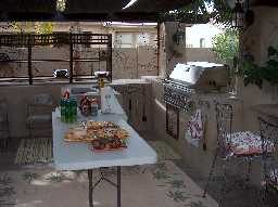 Grill and sink