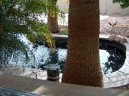 10 ft deep from under pergula