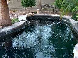 10 foot deep area